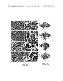 CONTROLLABLE NANOSTRUCTURING ON MICRO-STRUCTURED SURFACES diagram and image