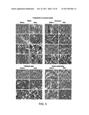 CONTROLLABLE NANOSTRUCTURING ON MICRO-STRUCTURED SURFACES diagram and image