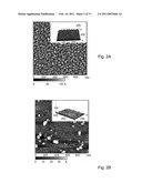 LOCALIZED PLASMON TRANSDUCERS AND METHODS OF FABRICATION THEREOF diagram and image