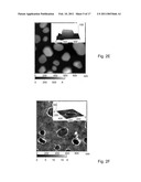 LOCALIZED PLASMON TRANSDUCERS AND METHODS OF FABRICATION THEREOF diagram and image