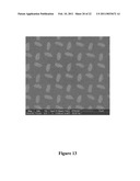 PATTERNING STRUCTURES USING DEFORMABLE SUBSTRATES diagram and image