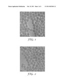 Silica Coating For Enhanced Hydrophilicity/Transmittivity diagram and image