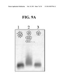 NANOCAPSULES AND METHODS FOR MODULAR ASSEMBLY diagram and image