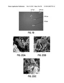 PROTON EXCHANGE MEMBRANES diagram and image