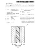 POLYMER ELECTROLYTE MEMBRANE diagram and image