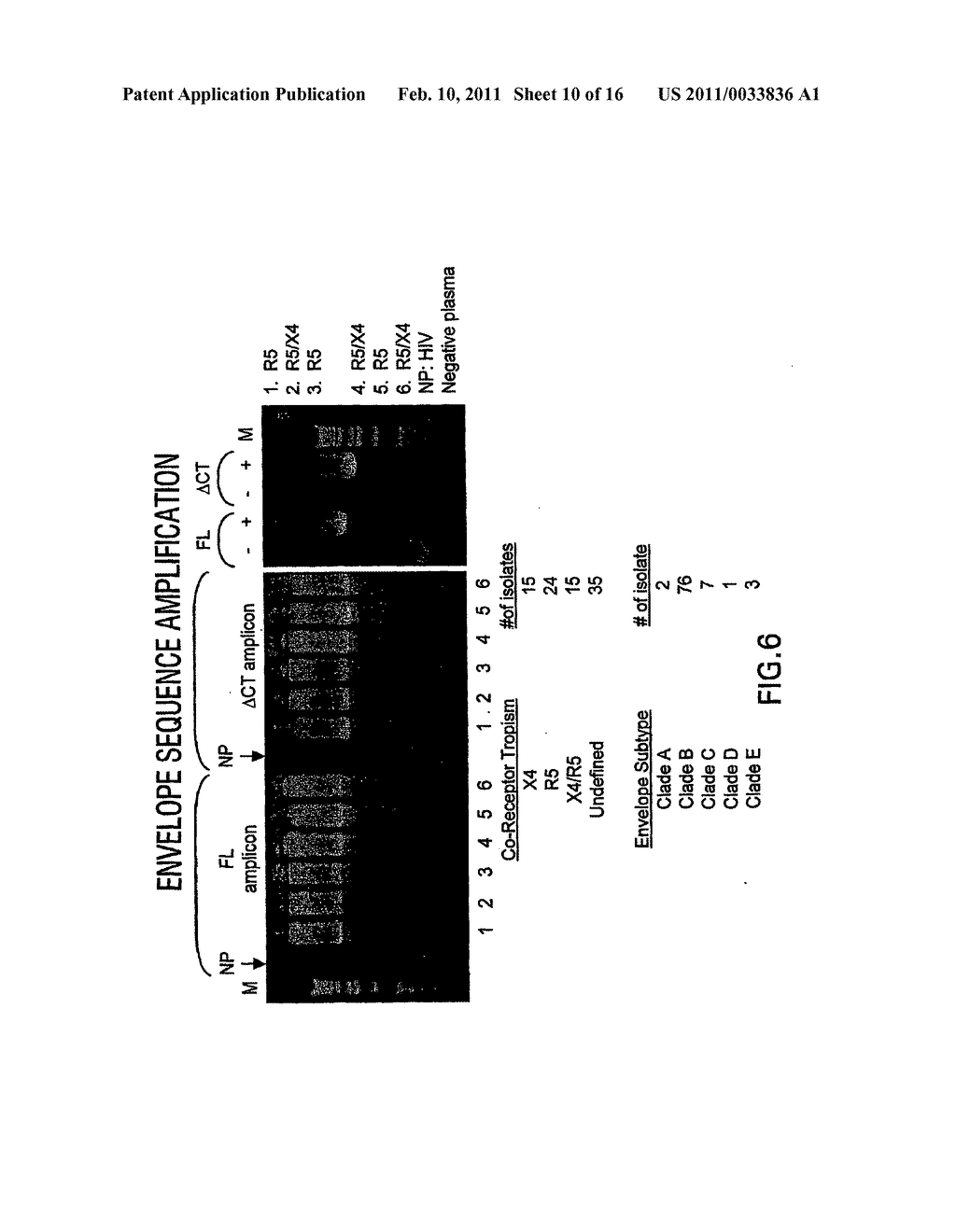 METHODS FOR DETERMINING THE PRESENCE OF ANTIBODIES BLOCKING VIRAL INFECTION - diagram, schematic, and image 11