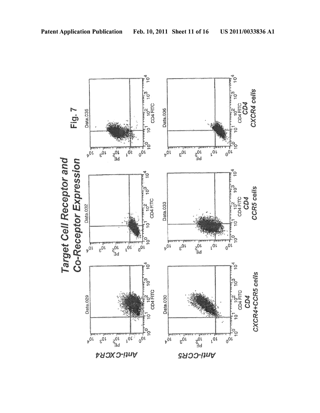 METHODS FOR DETERMINING THE PRESENCE OF ANTIBODIES BLOCKING VIRAL INFECTION - diagram, schematic, and image 12