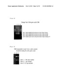  Skin Sampling Kit Which Stores Nucleic Acids In Stable Status, Genetic Test Methods By Using The Kit And Their Practical Application diagram and image