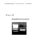  Skin Sampling Kit Which Stores Nucleic Acids In Stable Status, Genetic Test Methods By Using The Kit And Their Practical Application diagram and image