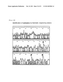  Skin Sampling Kit Which Stores Nucleic Acids In Stable Status, Genetic Test Methods By Using The Kit And Their Practical Application diagram and image