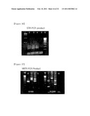  Skin Sampling Kit Which Stores Nucleic Acids In Stable Status, Genetic Test Methods By Using The Kit And Their Practical Application diagram and image