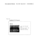  Skin Sampling Kit Which Stores Nucleic Acids In Stable Status, Genetic Test Methods By Using The Kit And Their Practical Application diagram and image