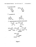 COMPOSITIONS AND METHODS FOR THE IDENTIFICATION OF INHIBITORS OF RETROVIRAL INFECTION diagram and image