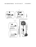 COMPOSITIONS AND METHODS FOR THE IDENTIFICATION OF INHIBITORS OF RETROVIRAL INFECTION diagram and image