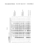 PROLIFERATIVE DISEASE DETECTION METHOD diagram and image