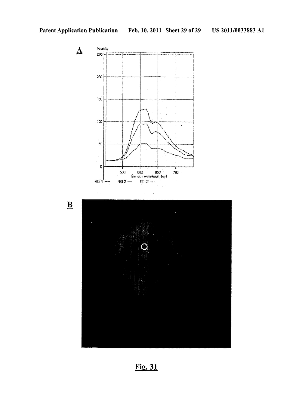 IMAGING DYES AND USE THEREOF - diagram, schematic, and image 30