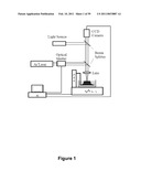 Three-Dimensional Microfabricated Bioreactors with Embedded Capillary Network diagram and image