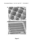 Three-Dimensional Microfabricated Bioreactors with Embedded Capillary Network diagram and image