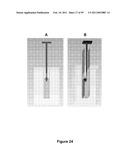 Three-Dimensional Microfabricated Bioreactors with Embedded Capillary Network diagram and image