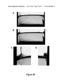 Three-Dimensional Microfabricated Bioreactors with Embedded Capillary Network diagram and image