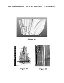 Three-Dimensional Microfabricated Bioreactors with Embedded Capillary Network diagram and image