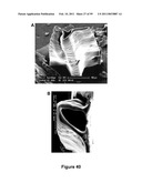 Three-Dimensional Microfabricated Bioreactors with Embedded Capillary Network diagram and image