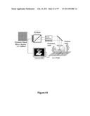 Three-Dimensional Microfabricated Bioreactors with Embedded Capillary Network diagram and image