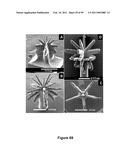 Three-Dimensional Microfabricated Bioreactors with Embedded Capillary Network diagram and image