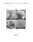 Three-Dimensional Microfabricated Bioreactors with Embedded Capillary Network diagram and image