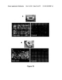 Three-Dimensional Microfabricated Bioreactors with Embedded Capillary Network diagram and image