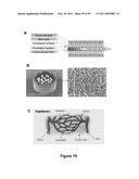 Three-Dimensional Microfabricated Bioreactors with Embedded Capillary Network diagram and image