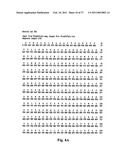 NOVEL MEMBERS OF THE CAPSAICIN/VANILLOID RECEPTOR FAMILY OF PROTEINS AND USES THEREOF diagram and image