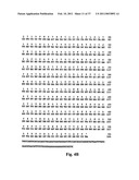 NOVEL MEMBERS OF THE CAPSAICIN/VANILLOID RECEPTOR FAMILY OF PROTEINS AND USES THEREOF diagram and image