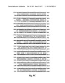 NOVEL MEMBERS OF THE CAPSAICIN/VANILLOID RECEPTOR FAMILY OF PROTEINS AND USES THEREOF diagram and image