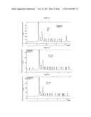 Method for the Obtainment of Hydrolytic Enzymes, Hydrolytic Method for Producing Fermentable Sugars, Additives comprising Fermentable Sugars, and Process for Producing Ethanol from Sugar Cane Bagasse diagram and image