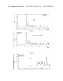 Method for the Obtainment of Hydrolytic Enzymes, Hydrolytic Method for Producing Fermentable Sugars, Additives comprising Fermentable Sugars, and Process for Producing Ethanol from Sugar Cane Bagasse diagram and image