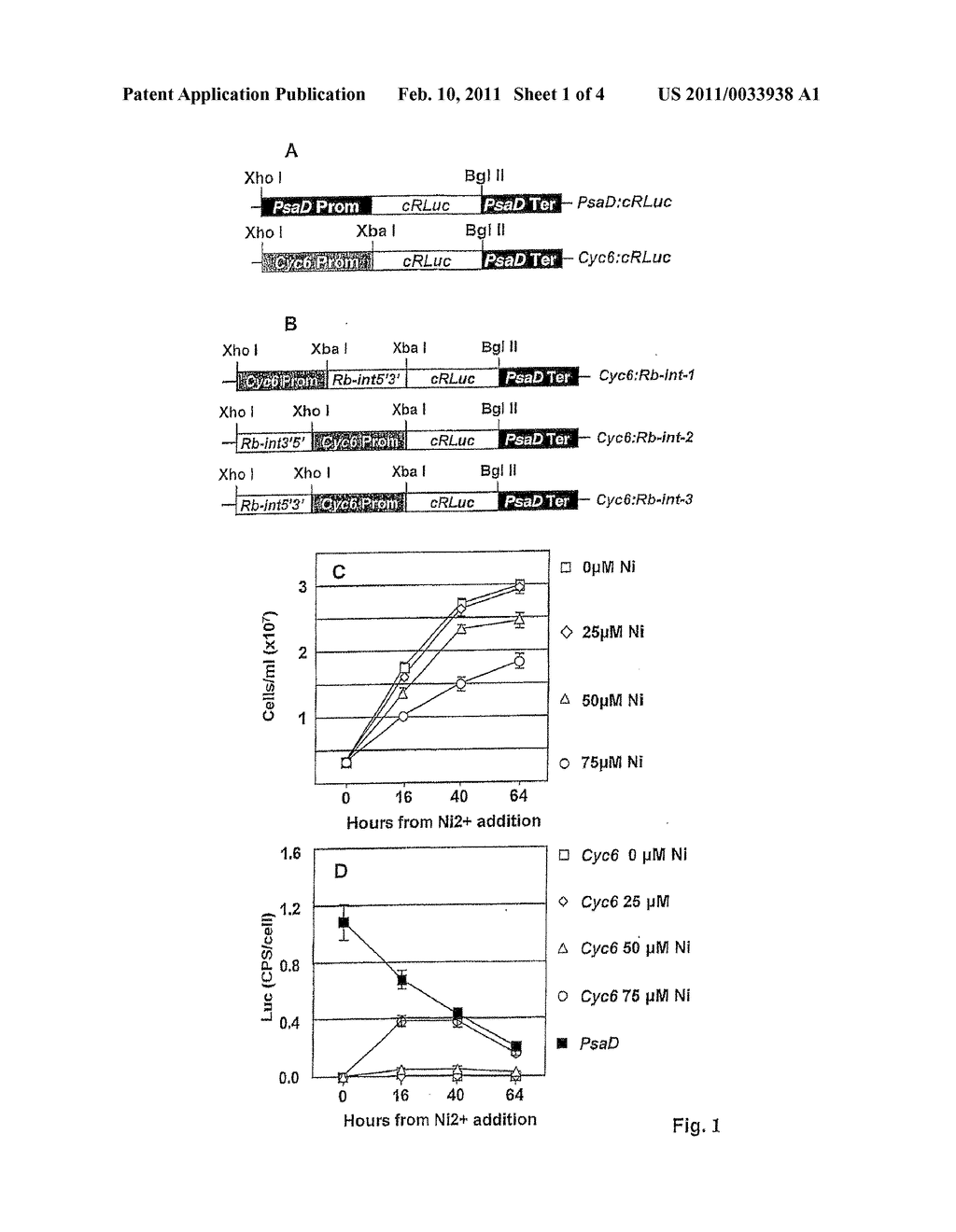 SYSTEM FOR INDUCIBLE GENE EXPRESSION IN CHLAMYDOMONAS - diagram, schematic, and image 02