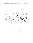 RESPONSE GENE TO COMPLEMENT 32 (RGC-32) IN DISEASE diagram and image