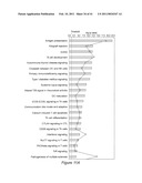 Signatures Associated with Rejection or Recurrence of Cancer diagram and image