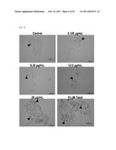 L. CASEI RHAMNOSUS SECRETED FACTORS AND USE THEREOF diagram and image