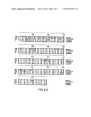 TRUNCATED ACTIVIN TYPE II RECEPTOR AND METHODS OF USE diagram and image