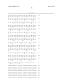 TRUNCATED ACTIVIN TYPE II RECEPTOR AND METHODS OF USE diagram and image