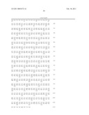 TRUNCATED ACTIVIN TYPE II RECEPTOR AND METHODS OF USE diagram and image