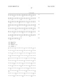 TRUNCATED ACTIVIN TYPE II RECEPTOR AND METHODS OF USE diagram and image