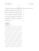 TRUNCATED ACTIVIN TYPE II RECEPTOR AND METHODS OF USE diagram and image