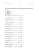 TRUNCATED ACTIVIN TYPE II RECEPTOR AND METHODS OF USE diagram and image