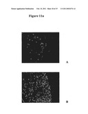 Oxyntomodulin for Preventing or Treating Excess Weight diagram and image