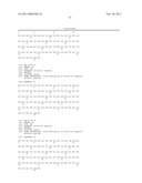 COMBINATION VEGFR2 THERAPY WITH mTOR INHIBITORS diagram and image