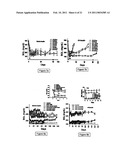 Compositions Useful for the Treatment of Diabetes and Other Chronic Disorder diagram and image