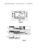 Compositions Useful for the Treatment of Diabetes and Other Chronic Disorder diagram and image